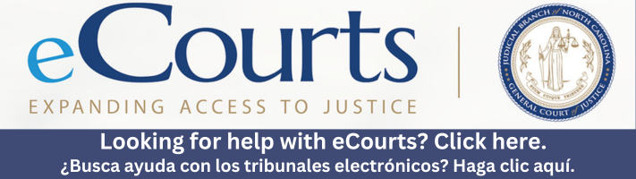 eCourts Help